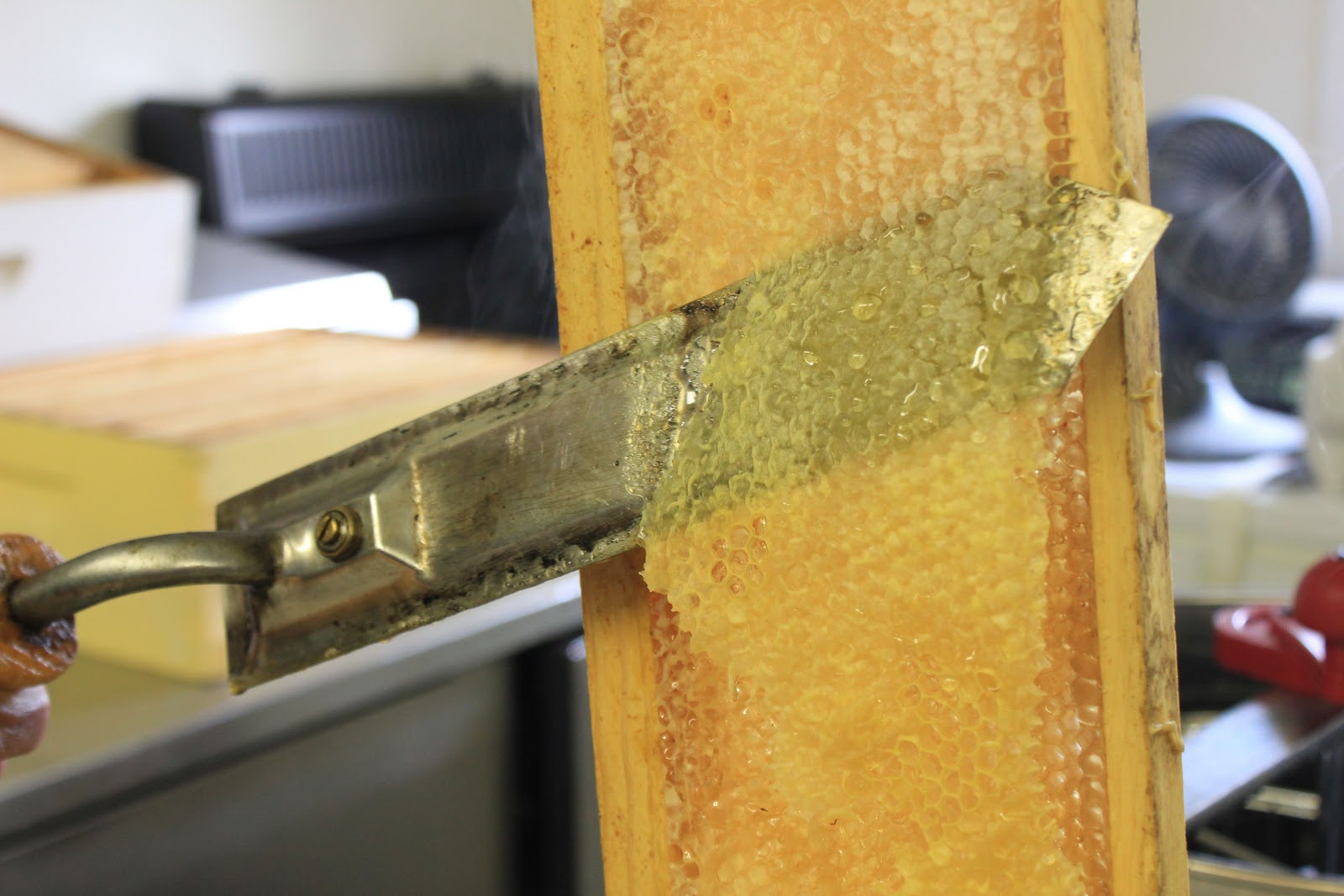 Buzzing Across America From the Hive to the Bottle Extraction!