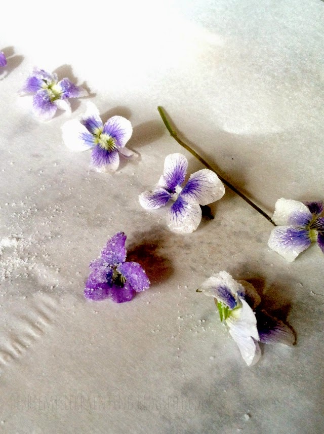 How to Make Sugared Violets