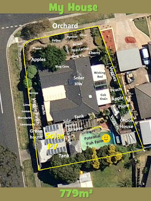 eight acres: getting started with growing veges