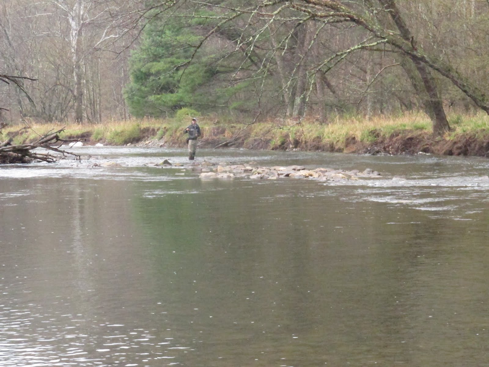 Chagrin River Outfitters Ohio steelhead, smallmouth, and PA trout.