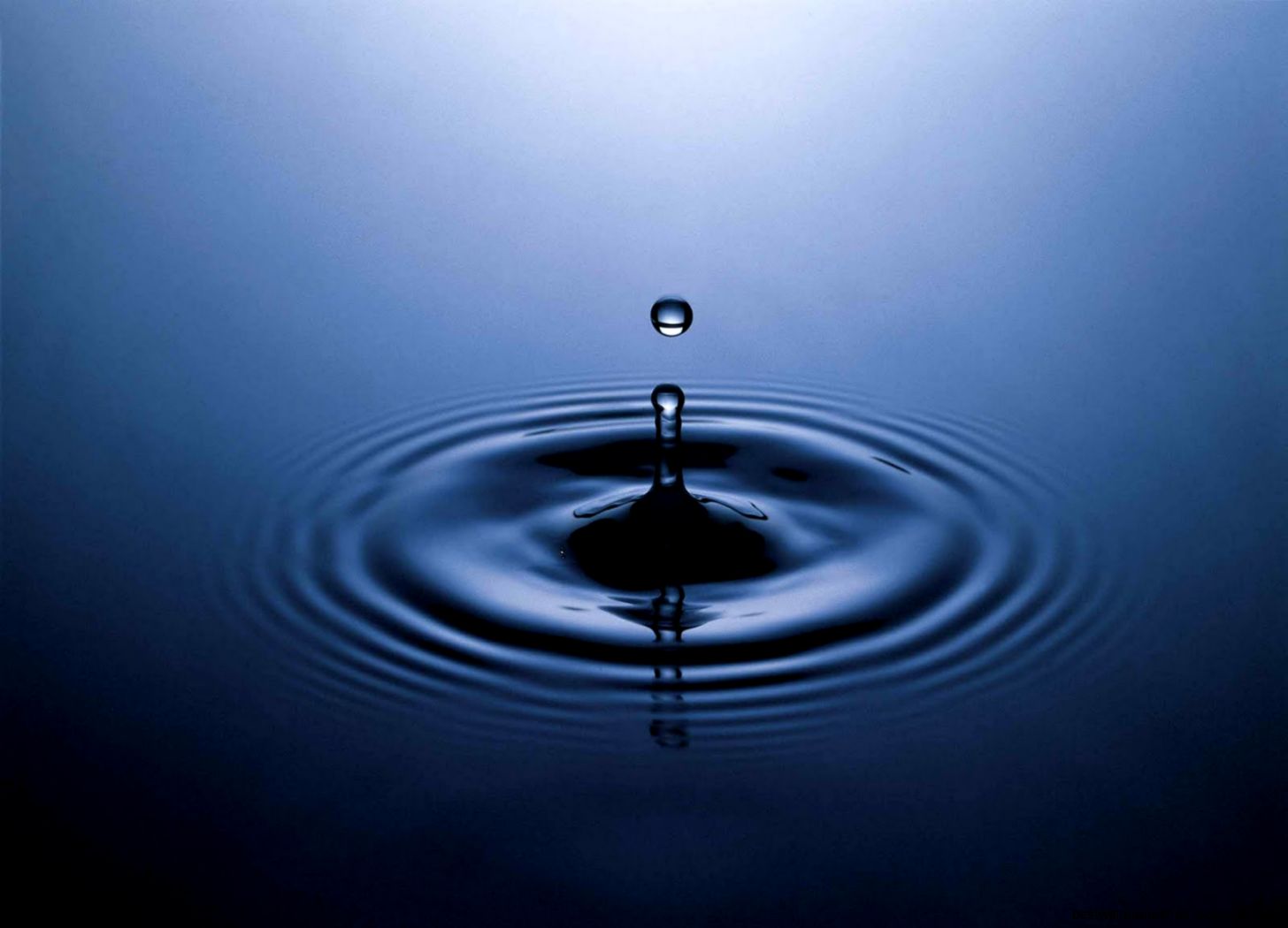 Water Droplets Water Droplets