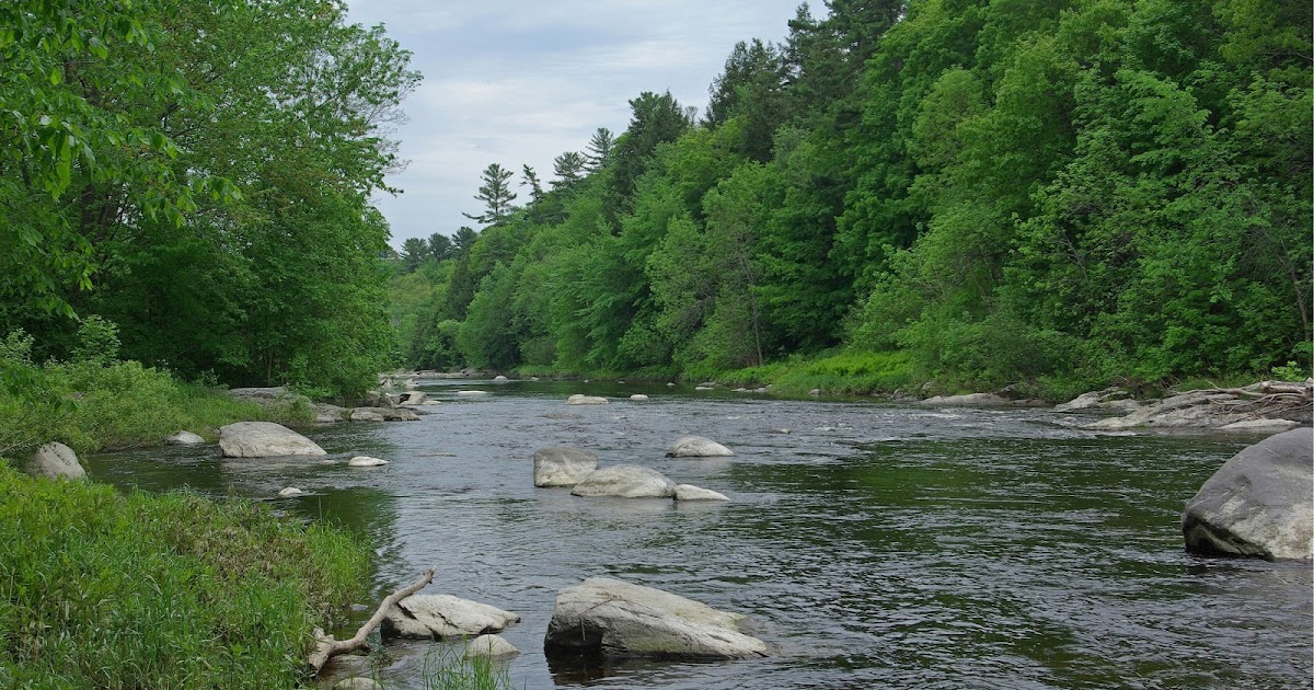 Hiking in Maine with Kelley 6/3/13 Kenduskeag Stream Trail