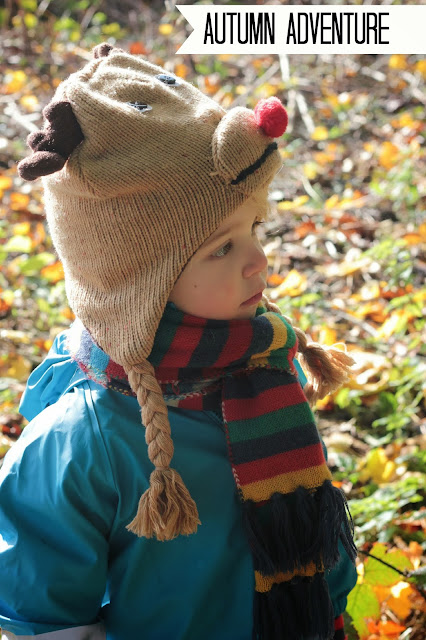 Reindeer hat