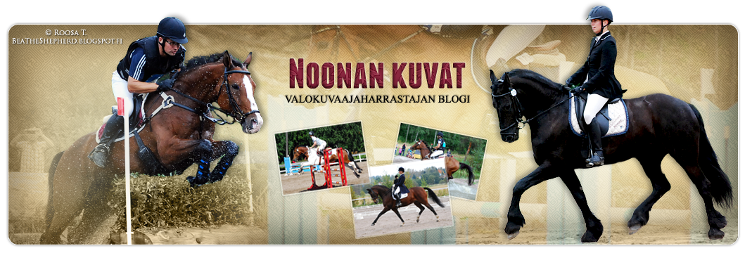 noonankuvat