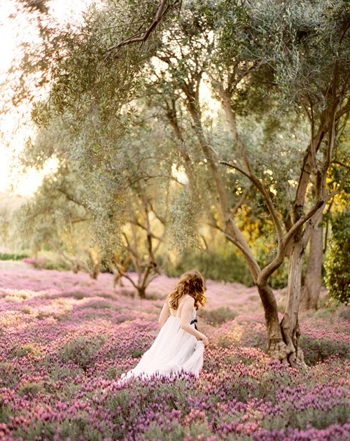 beauty is taste: lavender fields