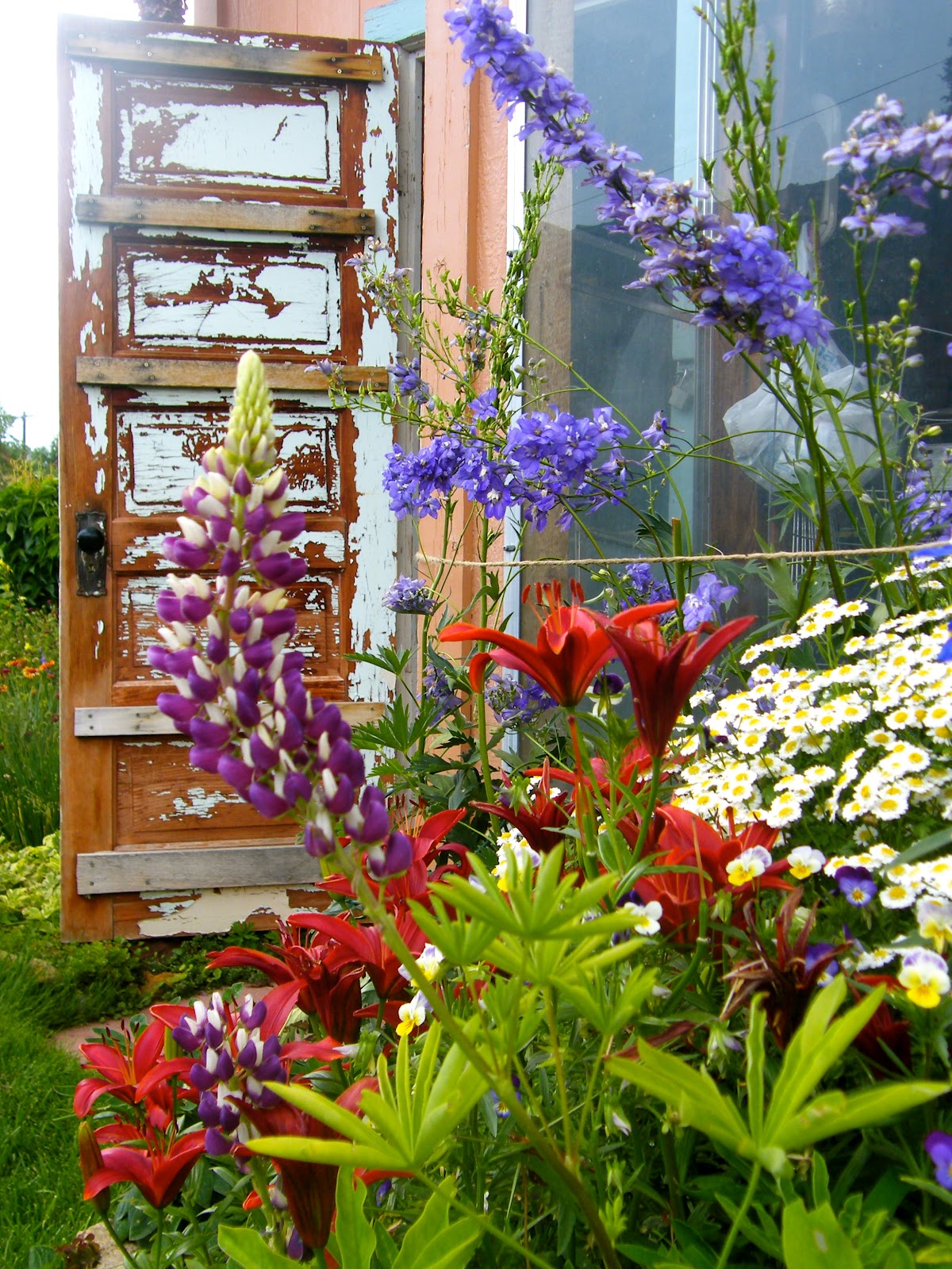 P O T A G E R: Red, White and Blue in the Garden