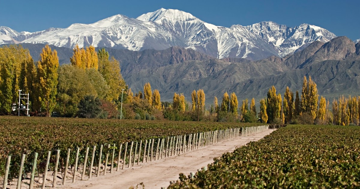 MENDOZA ARGENTINA TURISMO INTERNACIONAL