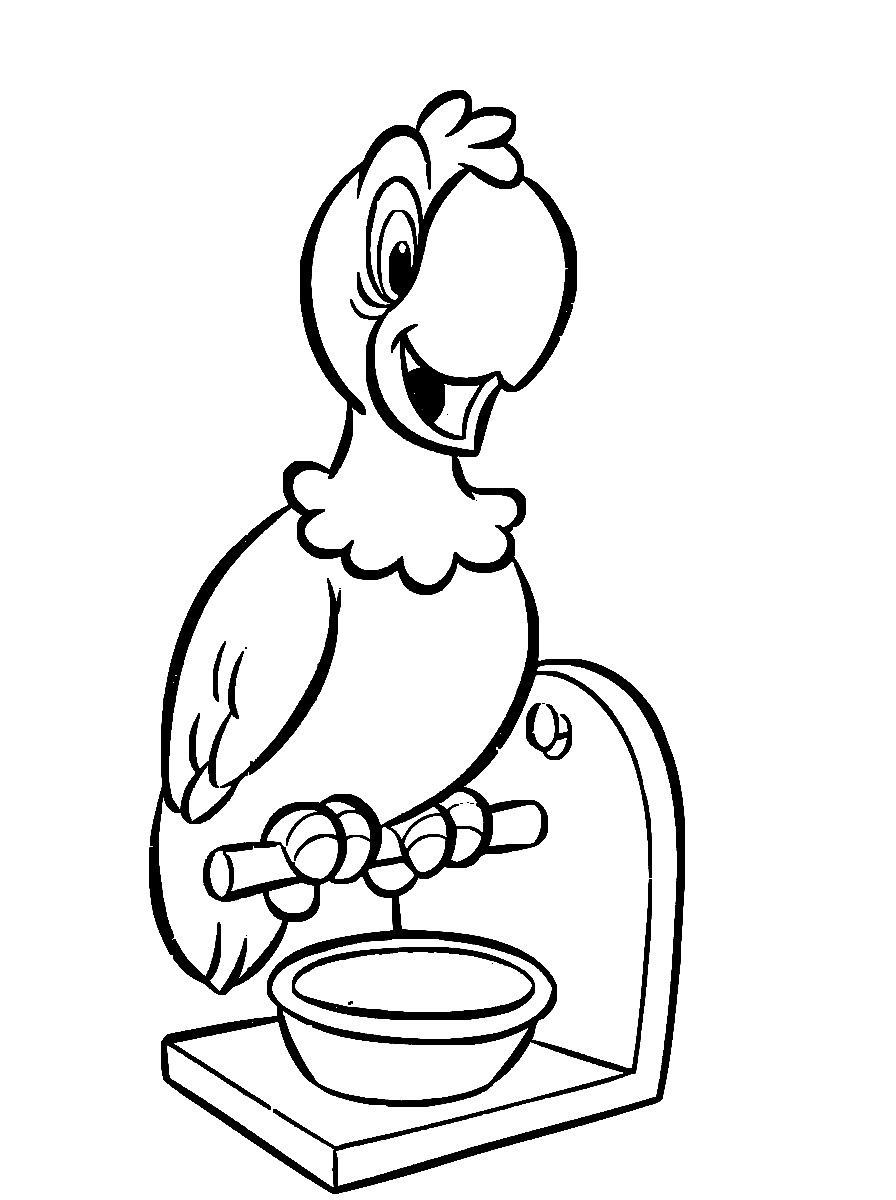Papagaio Desenho