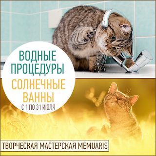 Тематическое задание "Водные процедуры и солнечные ванны" до 31 июля