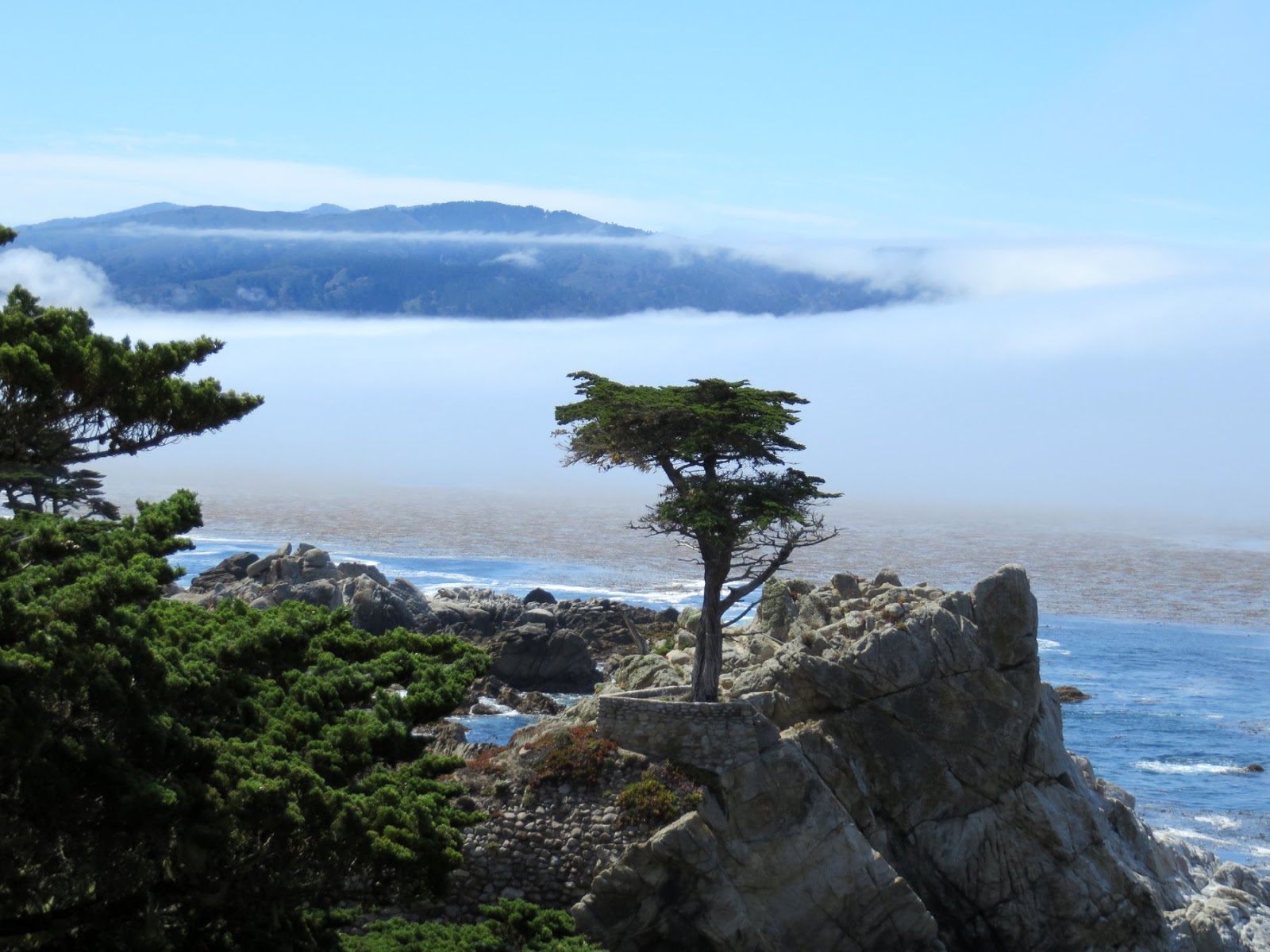 Gravel Beach Cypress Point