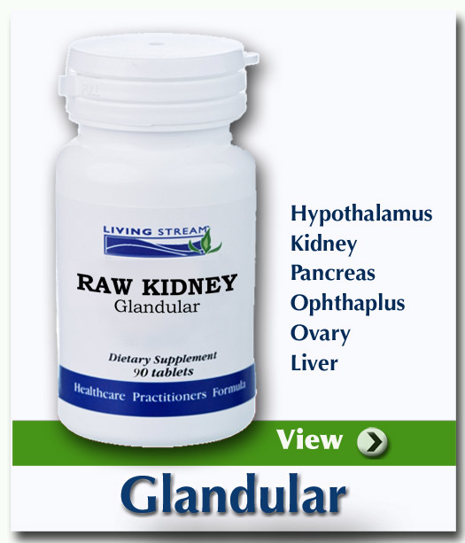 Living Stream Health Glandulars Raw Kidney Glandular