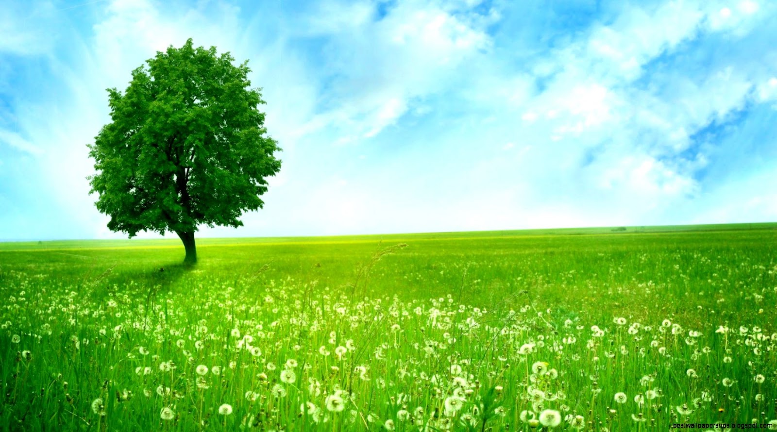 Free Nature Desktop Download Free Nature Desktop Download