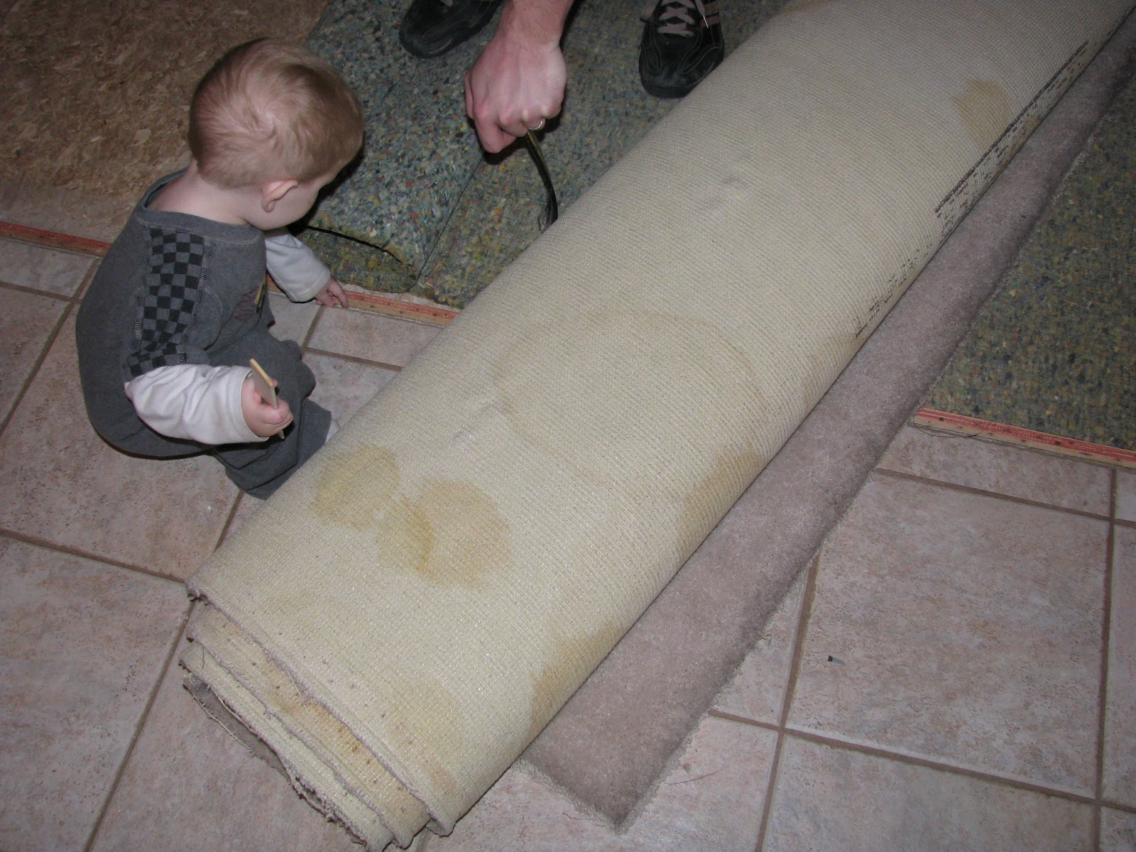 Western Warmth Pulling up Formal Living Room carpet