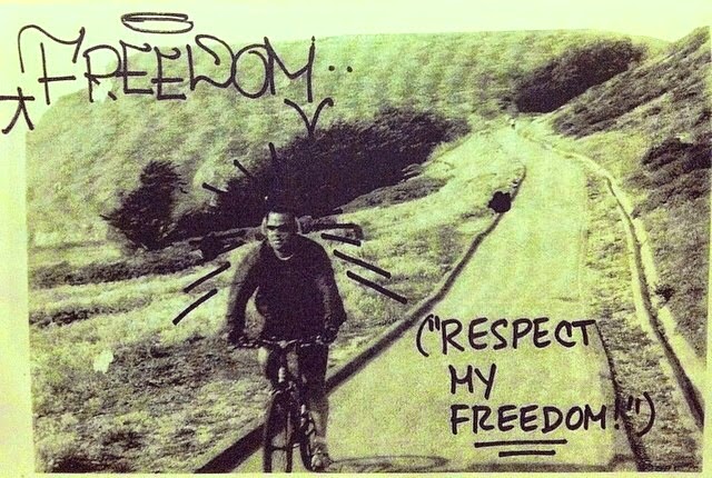 freedom