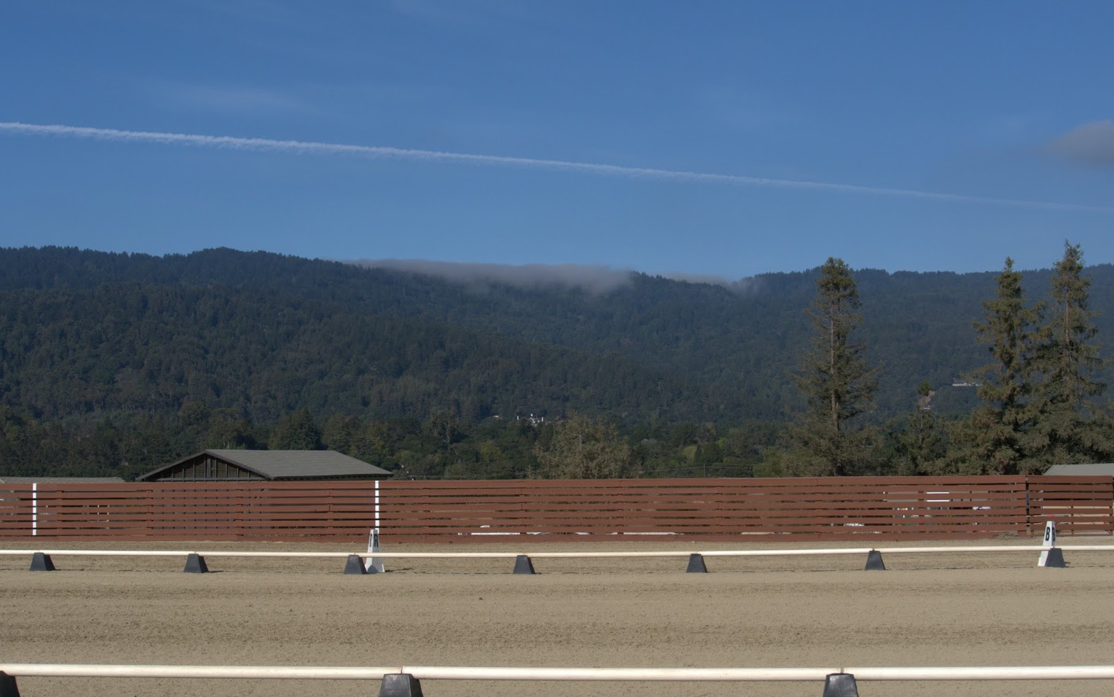 Woodside Horse Show Recap Part 1 DIY Horse Ownership