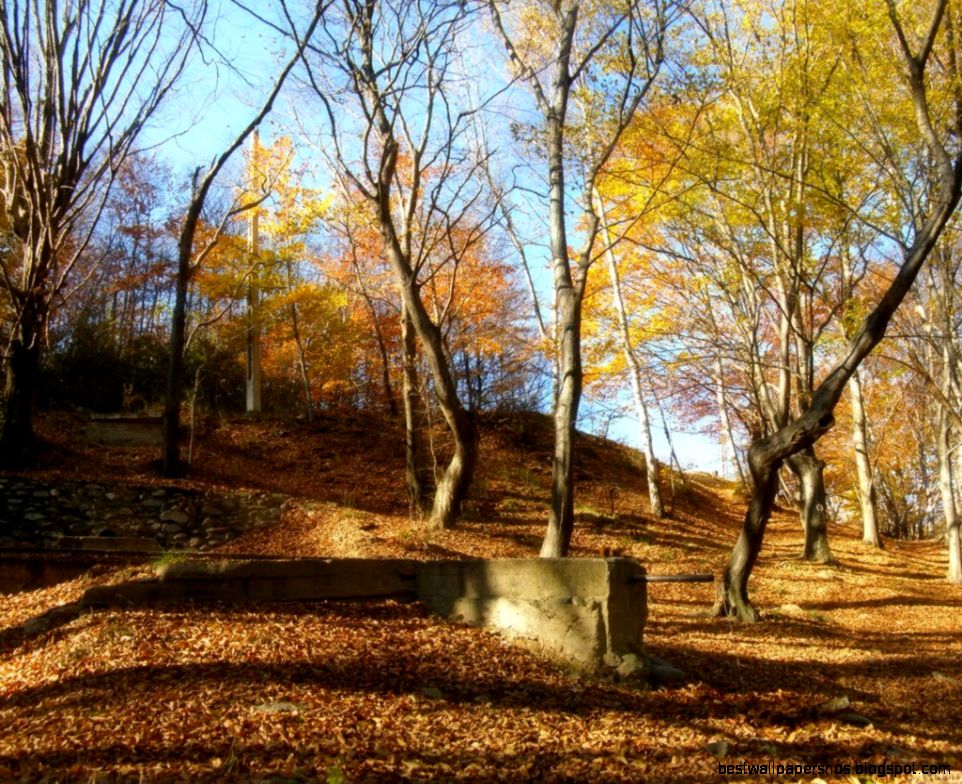 Panoramio Photo of A beautiful autumn day near the spring Panoramio Photo of A beautiful autumn day near the spring