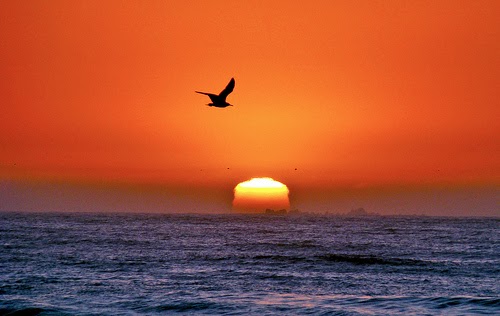 Bengali: Dol (Holi - Festival Of Colours)