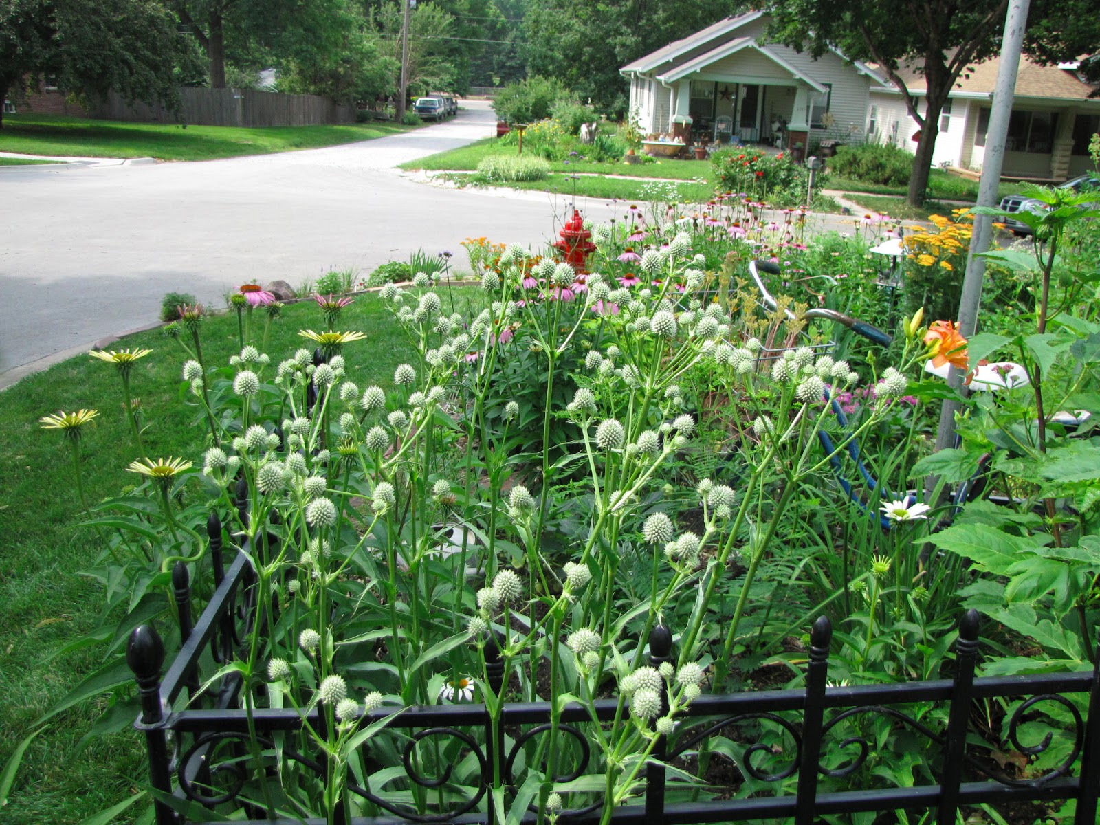 A Corner Garden: East Front Yard Flower Bed