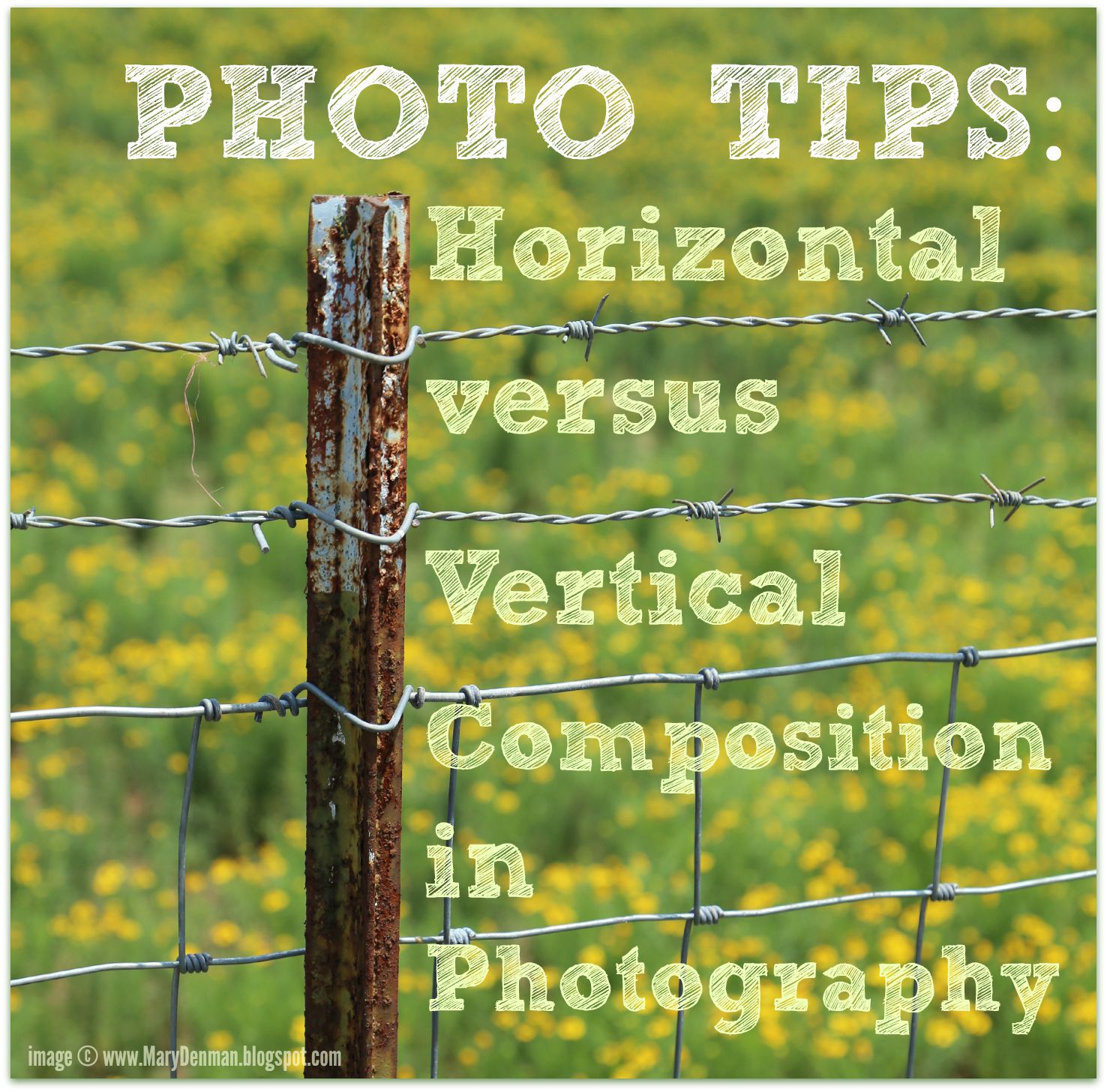 Mary Denman Photo Tip Friday Horizontal versus Vertical in Photography