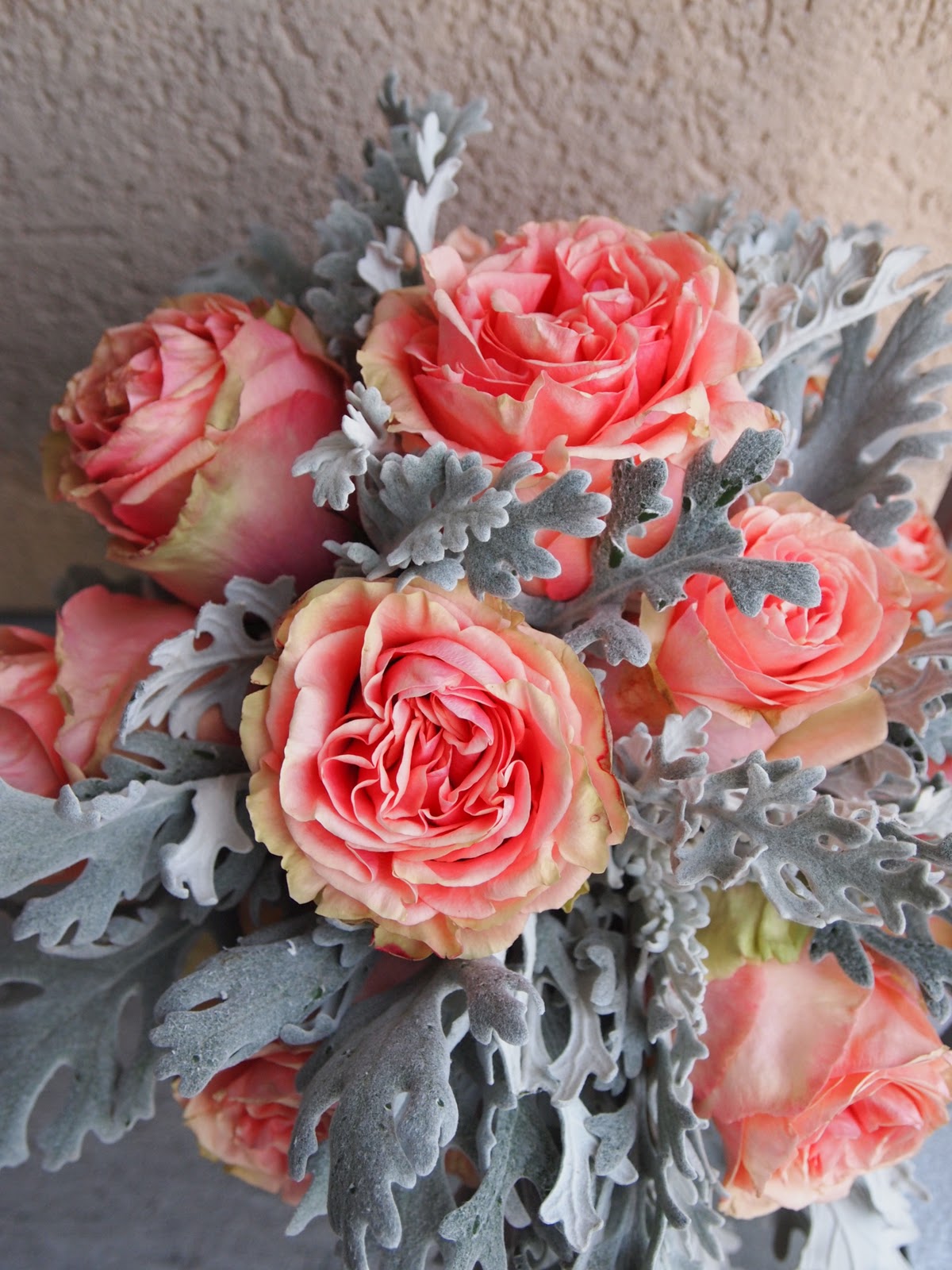 The Fleurist Dusty Miller Debacle