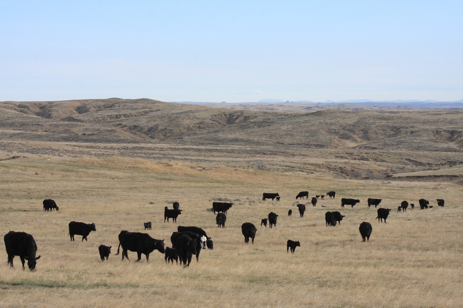 Double H Photography Do you know, about Wyoming agriculture?