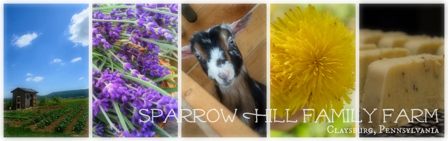 Sparrow Hill Family Farm
