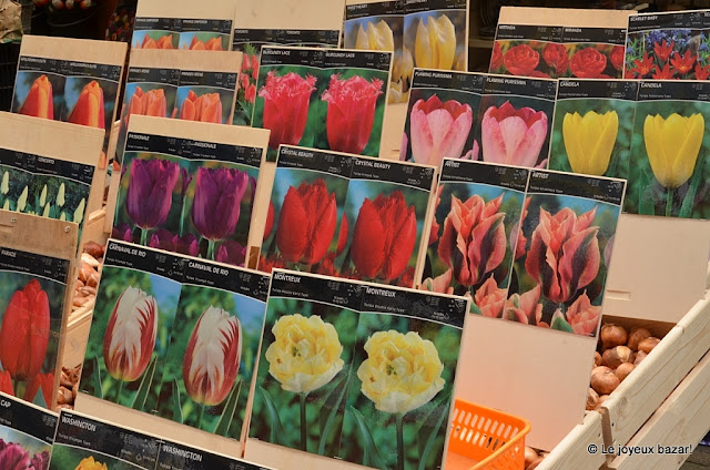 Amsterdam - marché aux fleurs