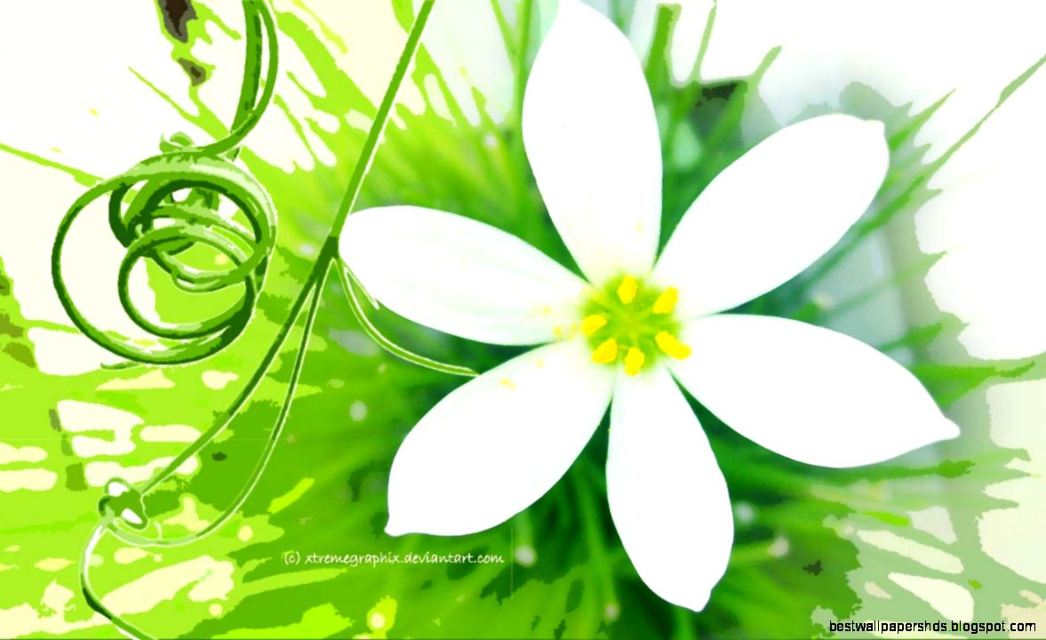 Flower Wallpaper Widescreen Free Desktop 8 HD Wallpapers Flower Wallpaper Widescreen Free Desktop 8 HD Wallpapers