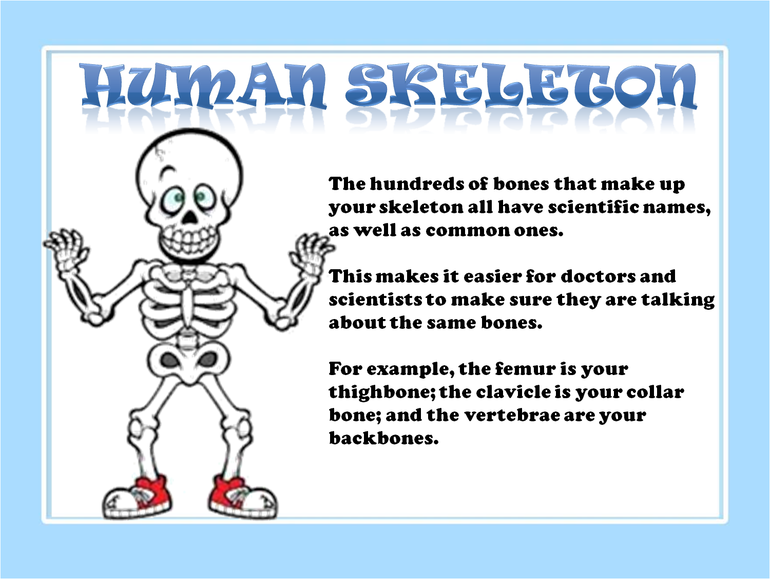 Is Your Skeleton Strong The Truth About Osseous Structures Intact - aiiedli