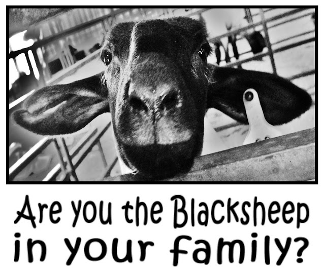 Blacksheep