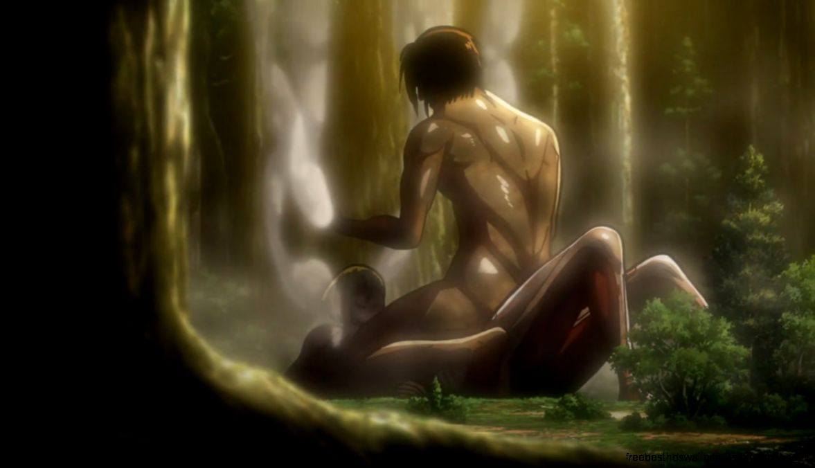 Anime Muir Woods Anime Muir Woods