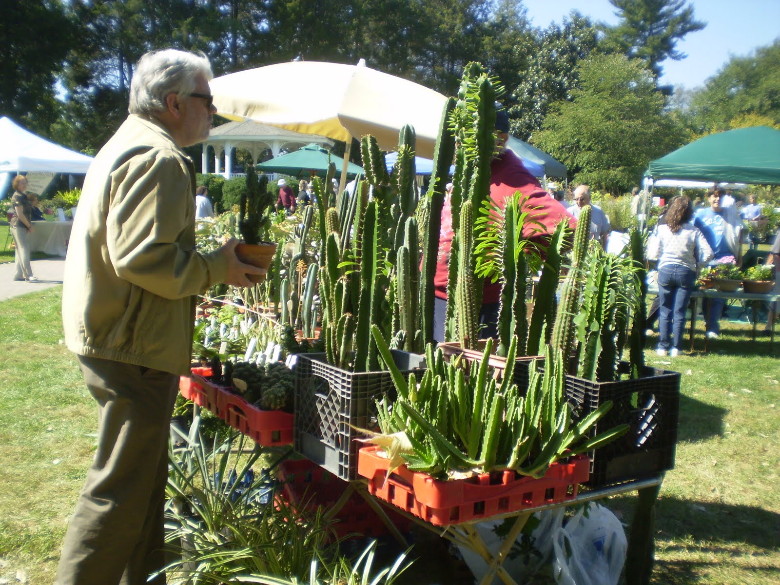 Green Spring Gardens