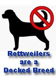 Rottweilers Are A Docked Breed on Facebook