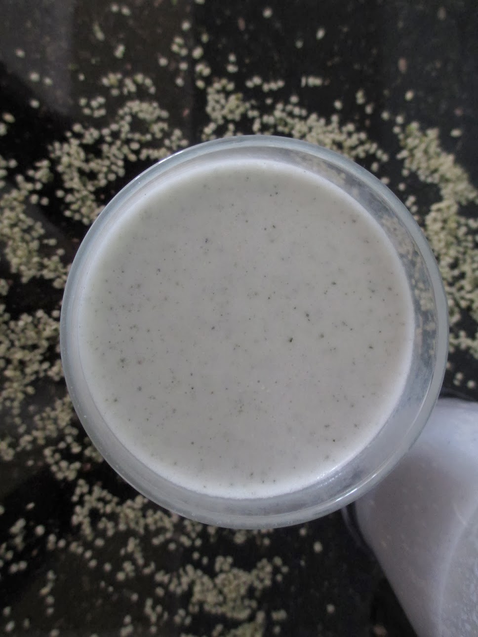 Stacie Michelle Homemade Hemp Milk [Vegan]
