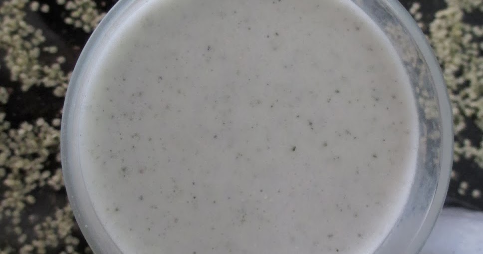 Stacie Michelle Homemade Hemp Milk [Vegan]