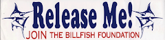 BILLFISH FUNDATION