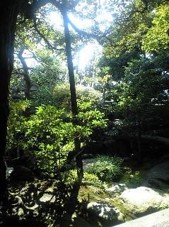 20091124-CA3A0119.JPG