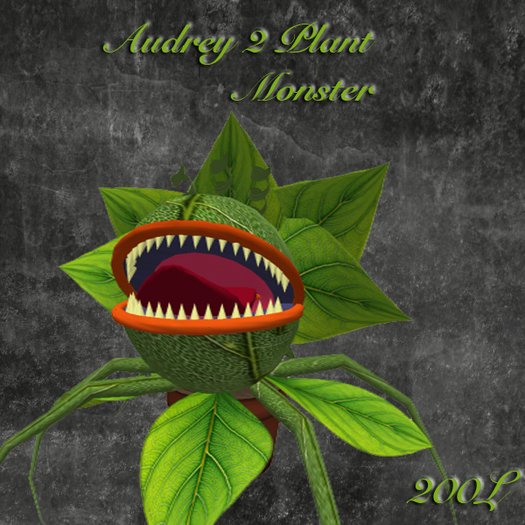 Seed to Feed Me FEEDING PLANTS