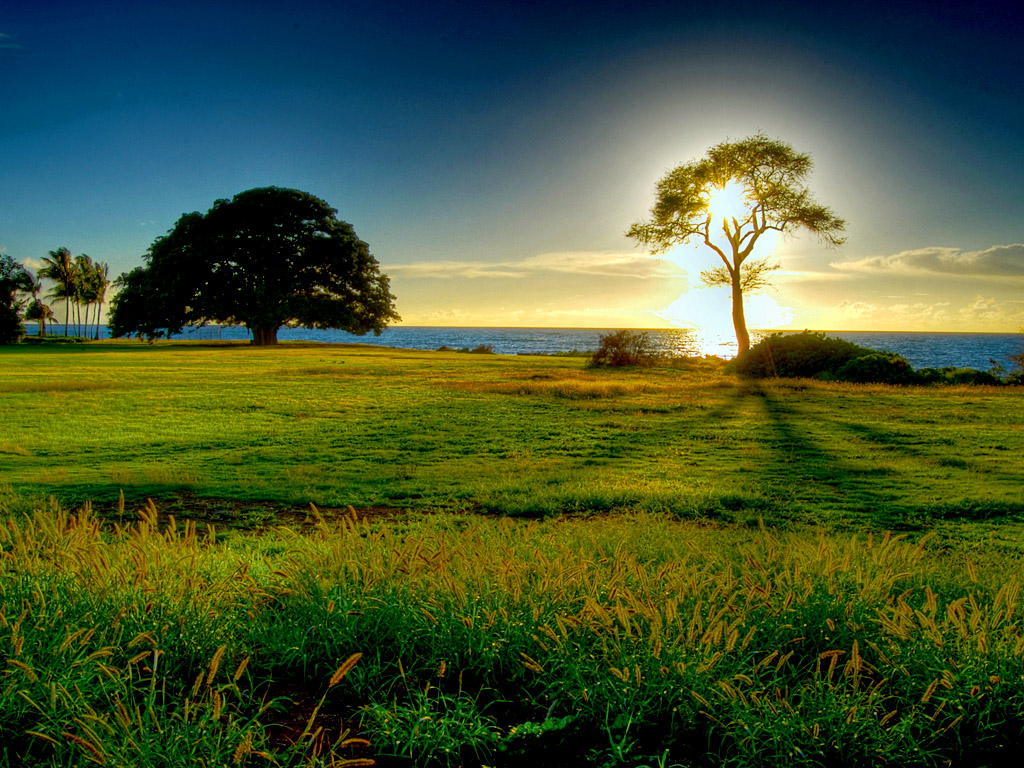 http://3.bp.blogspot.com/-c-qTFx_Eptg/Teu3qTyej2I/AAAAAAAAALs/HZQSBfVIEas/s1600/paz_21.jpg