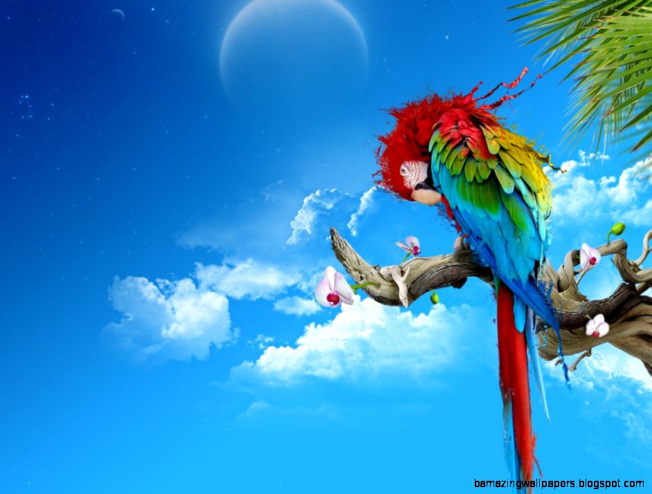 Parrot Wallpaper  HD Wallpapers  Pictures  Images  Backgrounds Parrot Wallpaper  HD Wallpapers  Pictures  Images  Backgrounds