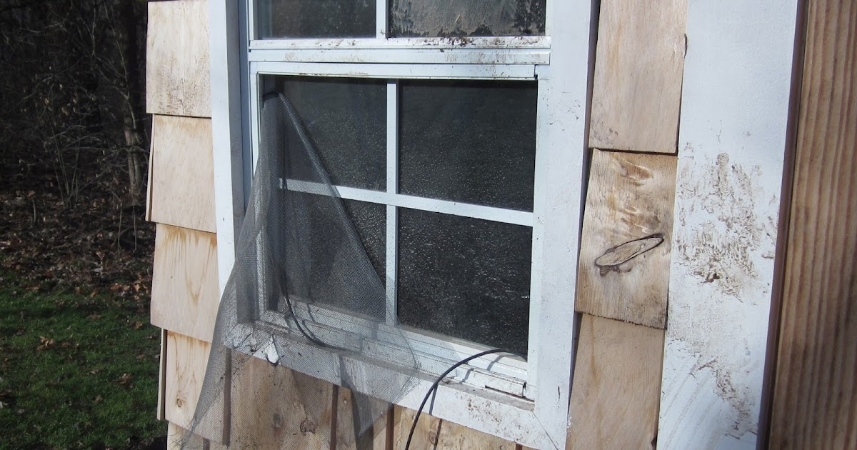 Ck Coop Chapter Raccoon proof chicken coop plans