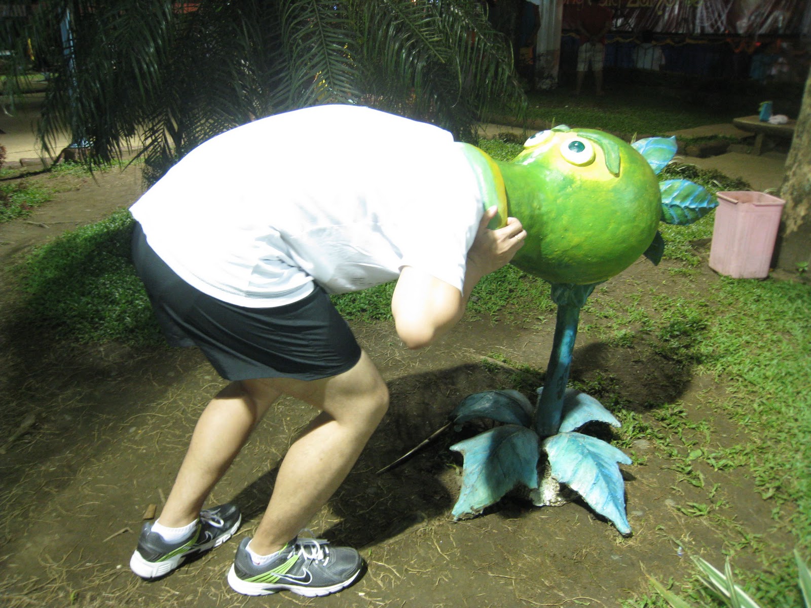 Maybe She�s That Girl Plants vs Zombies The Local and