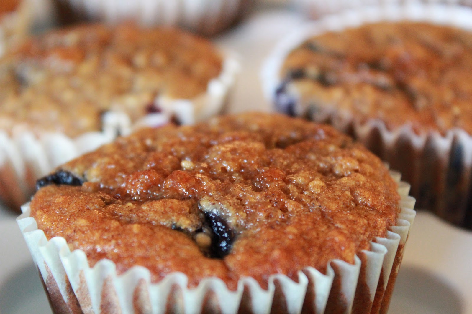 Blueberry oatmeal muffins a recipe Yankee Kitchen Ninja
