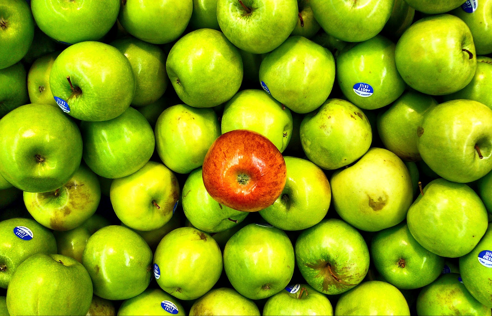 tecnologia en el diseño grafico Anomalia