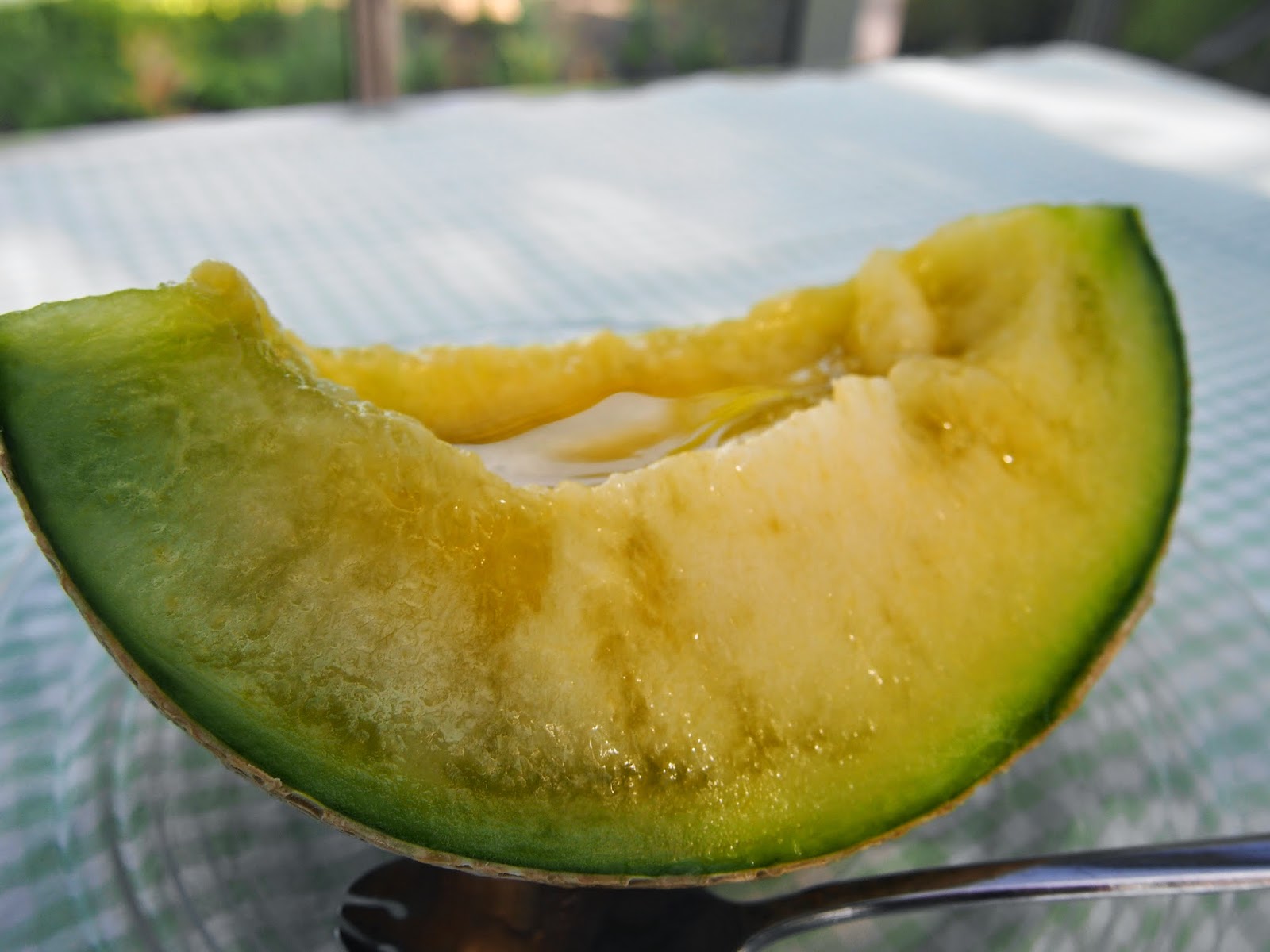 Discover Tokyo Beautiful places never seen before! Why Musk melon is