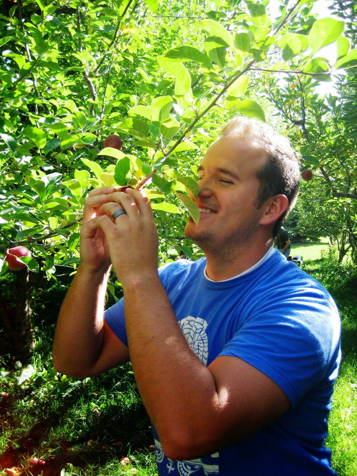Caring for apple trees in the spring time The Lavender Apple