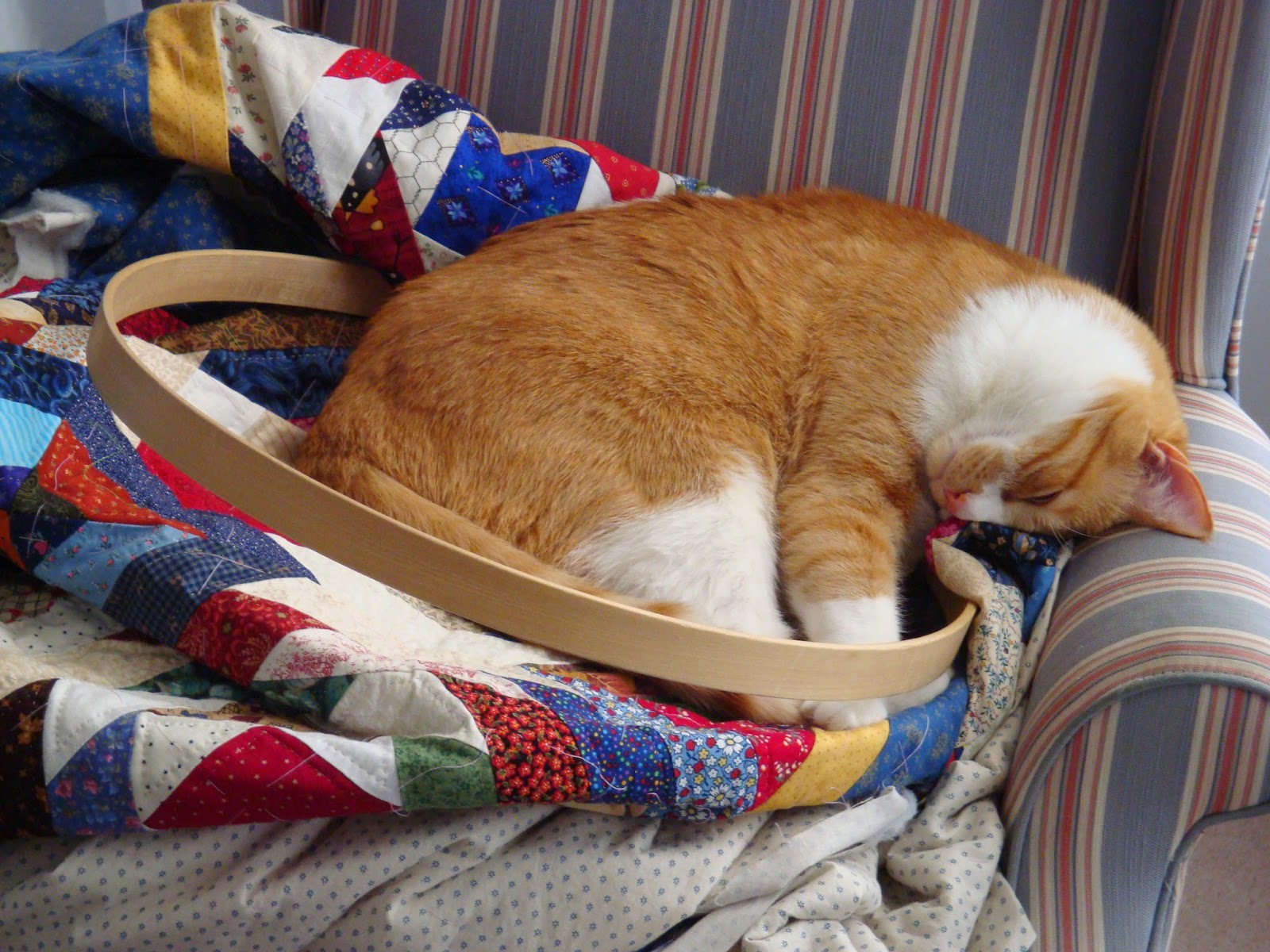 FABRIC THERAPY Removing the cat from the quilt...