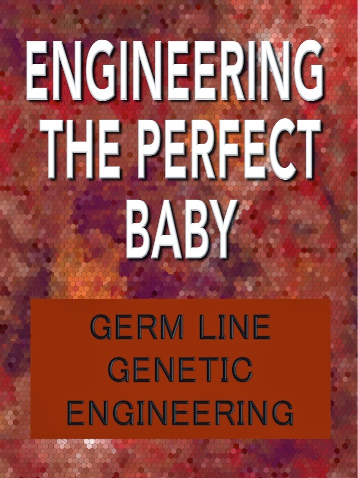 Essay on Genetic Engineering The Perfect Child