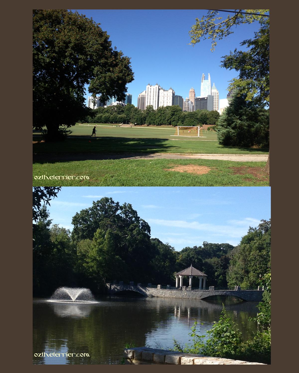 Touring DogFriendly Atlanta Oz the Terrier Lifestyle Dog Blog