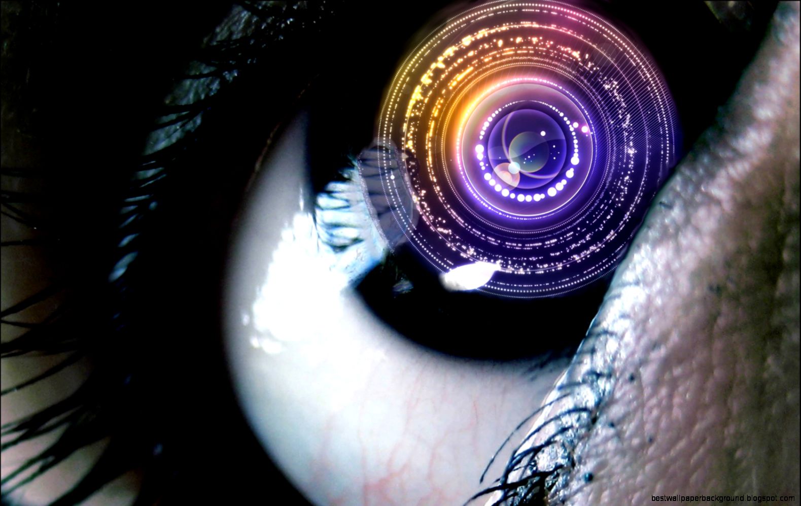 Eyes Wallpaper 1680x1050 ID5895 Eyes Wallpaper 1680x1050 ID5895